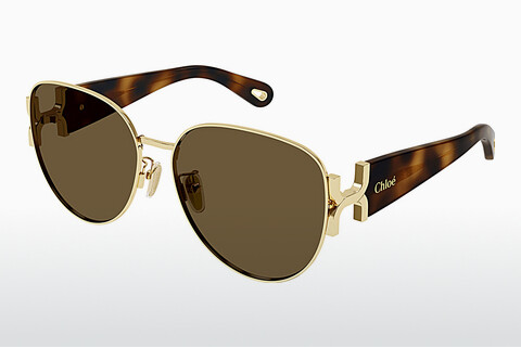 Gafas de visión Chloé CH0261SK 002