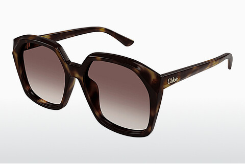 Gafas de visión Chloé CH0280S 006