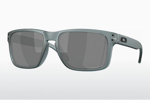 Gafas de visión Oakley HOLBROOK (OO9102 9102Z4)