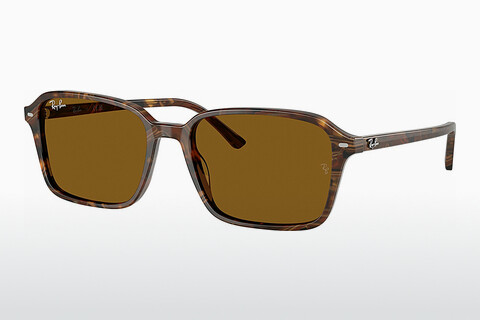 Gafas de visión Ray-Ban RAIMOND (RB2231 141833)