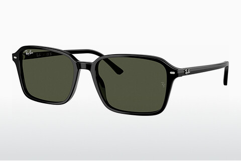 Gafas de visión Ray-Ban RAIMOND (RB2231 901/31)