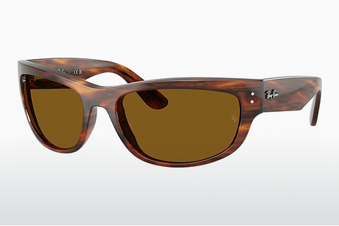 Gafas de visión Ray-Ban MEGA BALORAMA (RB2289 954/33)