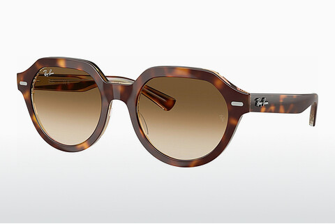 Gafas de visión Ray-Ban GINA (RB4399 141451)