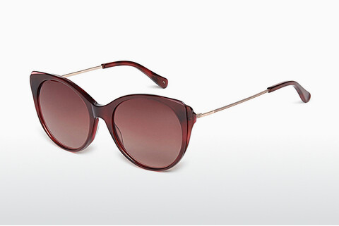 Gafas de visión Ted Baker 1589 249