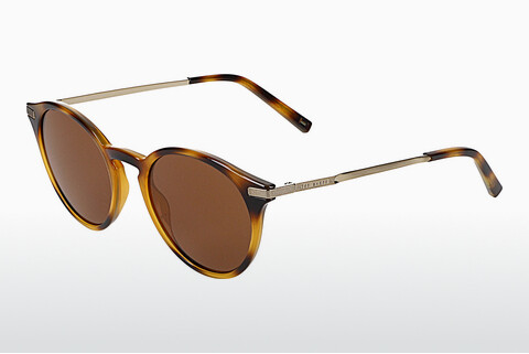 Gafas de visión Ted Baker 391632 100