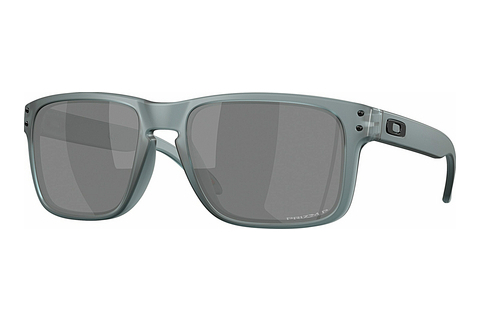 Gafas de visión Oakley HOLBROOK (OO9102 9102Z4)