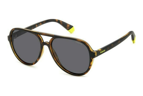 Gafas de visión Polaroid PLD 8046/S/T 086/M9