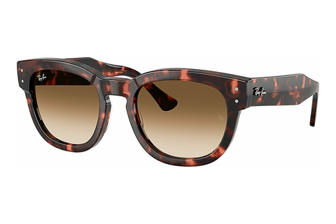 Gafas de visión Ray-Ban MEGA HAWKEYE (RB0298S 133451)