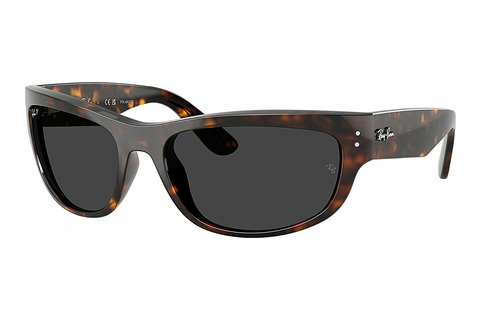 Gafas de visión Ray-Ban MEGA BALORAMA (RB2289 902/48)
