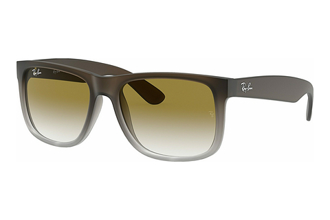 Gafas de visión Ray-Ban JUSTIN (RB4165 854/7Z)