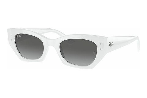 Gafas de visión Ray-Ban ZENA (RB4430 675911)