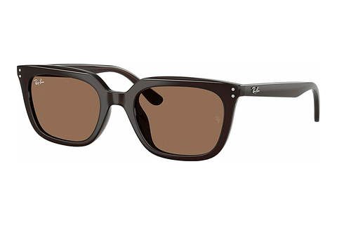 Gafas de visión Ray-Ban RB4439D 623173