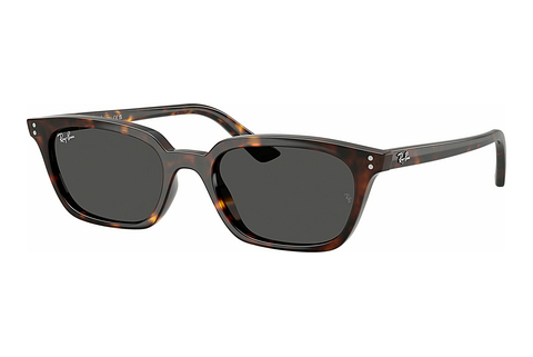 Gafas de visión Ray-Ban ZAYA (RB4456 135987)