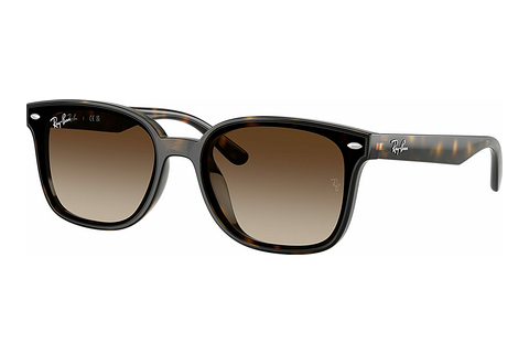Gafas de visión Ray-Ban RB4461D 710/13