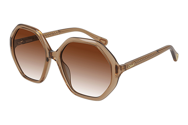 Gafas de visión Chloé CC0004S 002