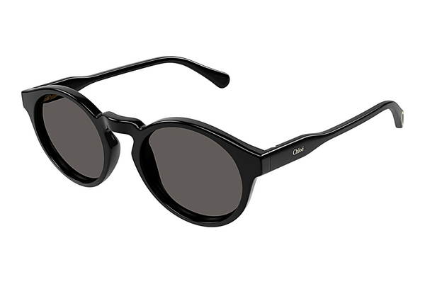 Gafas de visión Chloé CC0014S 005