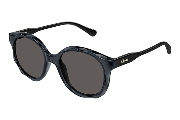 Gafas de visión Chloé CC0019S 001