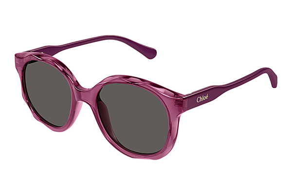 Gafas de visión Chloé CC0019S 003