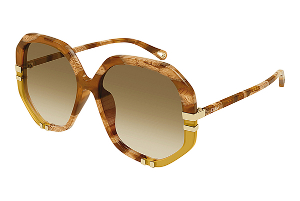 Gafas de visión Chloé CH0105S 011