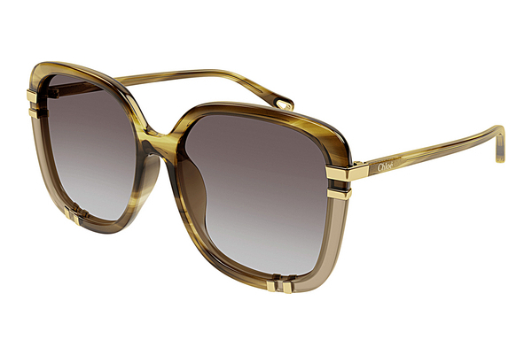 Gafas de visión Chloé CH0106SA 006