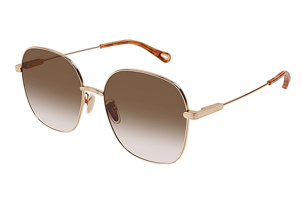 Gafas de visión Chloé CH0139SA 002