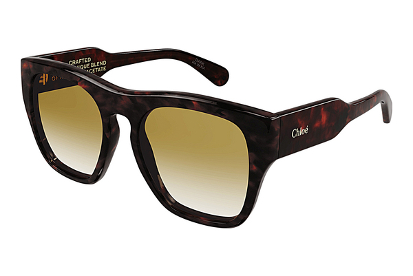 Gafas de visión Chloé CH0149S 002