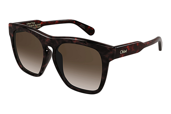 Gafas de visión Chloé CH0149SA 002