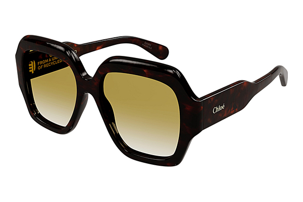 Gafas de visión Chloé CH0154S 002