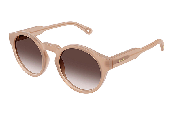 Gafas de visión Chloé CH0158S 004