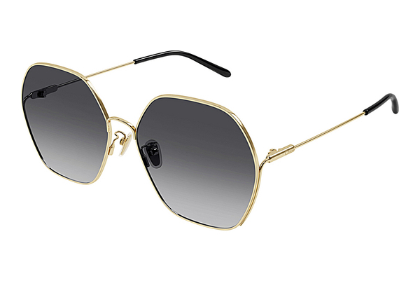 Gafas de visión Chloé CH0169SA 001