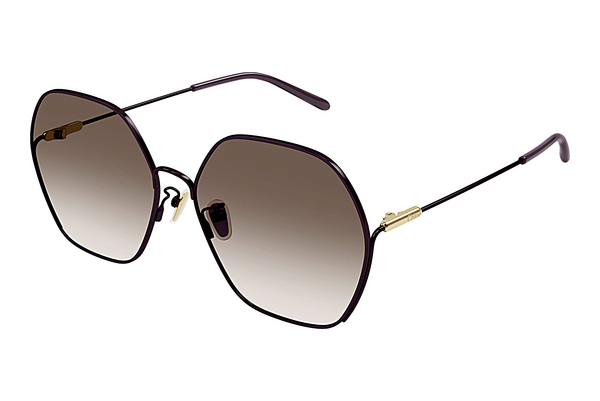 Gafas de visión Chloé CH0169SA 007