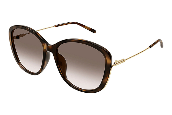 Gafas de visión Chloé CH0175SK 002