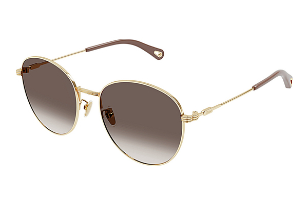 Gafas de visión Chloé CH0181SK 002