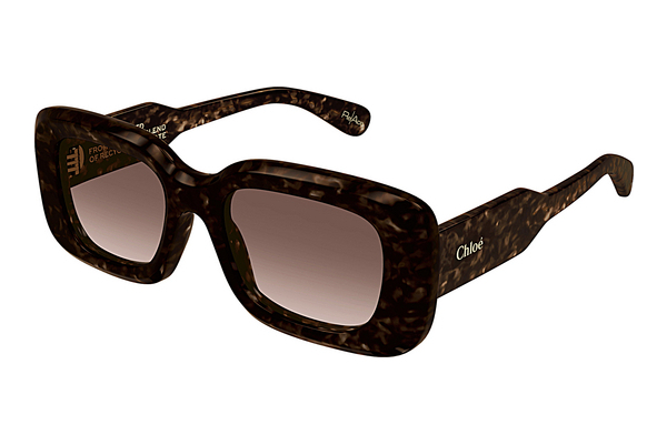 Gafas de visión Chloé CH0188S 002