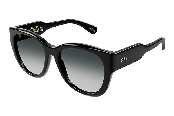 Gafas de visión Chloé CH0192S 001