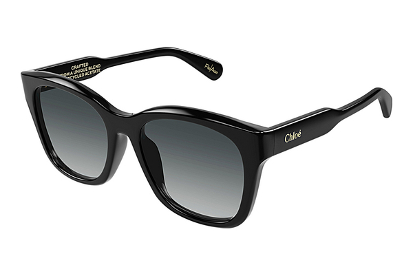 Gafas de visión Chloé CH0194SK 001