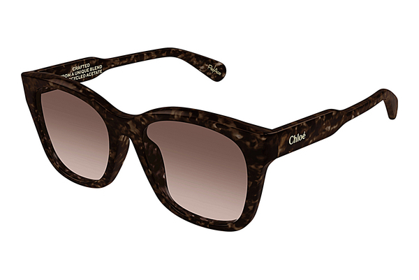 Gafas de visión Chloé CH0194SK 002