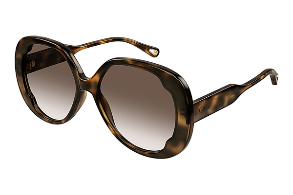 Gafas de visión Chloé CH0195S 002