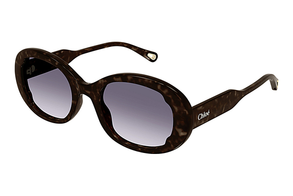 Gafas de visión Chloé CH0197SA 002