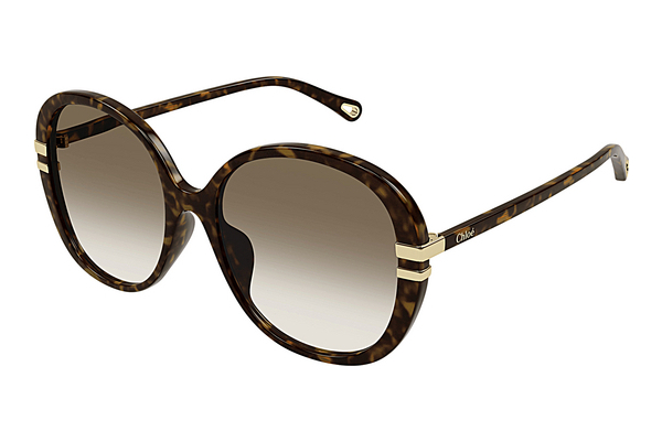 Gafas de visión Chloé CH0207SK 002