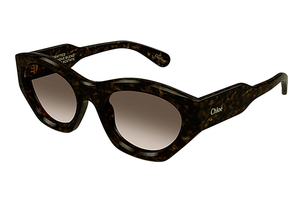 Gafas de visión Chloé CH0220S 002