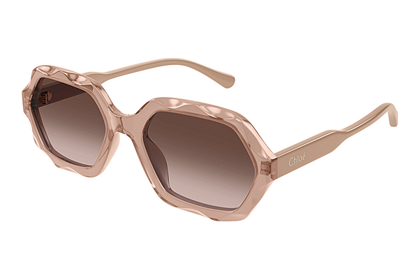 Gafas de visión Chloé CH0227S 003