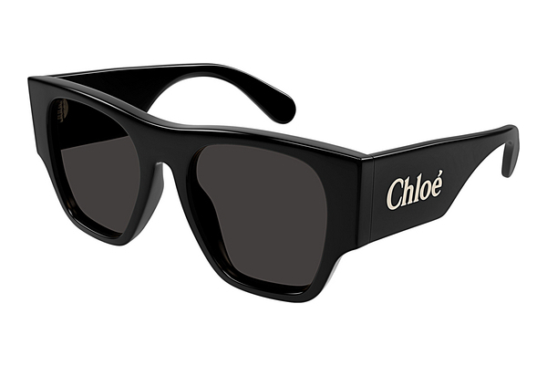 Gafas de visión Chloé CH0233S 001