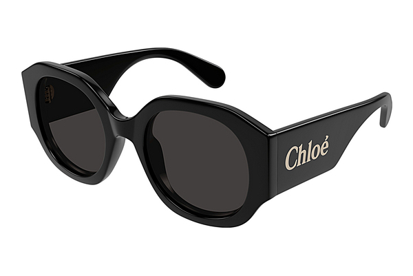 Gafas de visión Chloé CH0234S 001