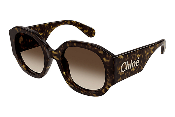 Gafas de visión Chloé CH0234SK 002