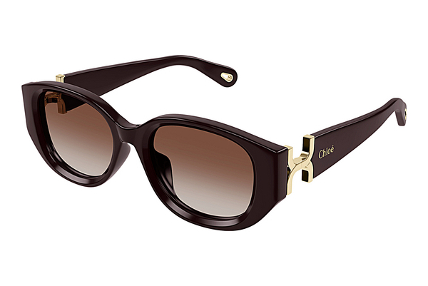 Gafas de visión Chloé CH0237SK 003