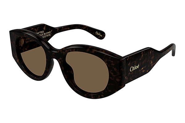 Gafas de visión Chloé CH0251S 002