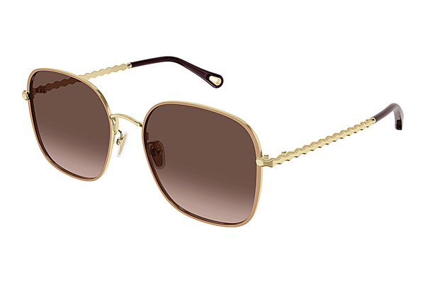 Gafas de visión Chloé CH0255SK 004