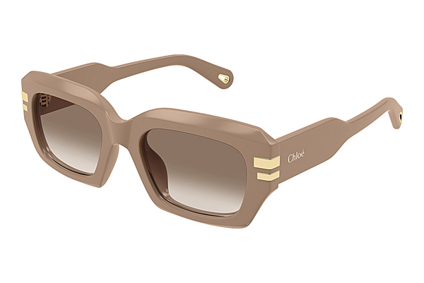 Gafas de visión Chloé CH0256S 005