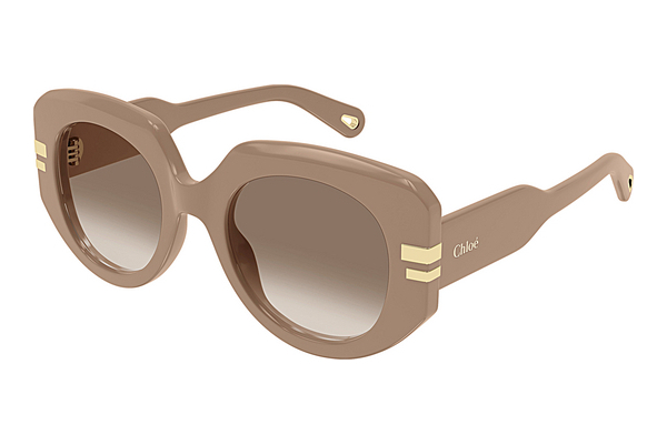 Gafas de visión Chloé CH0257S 005